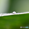 WATERPEARL