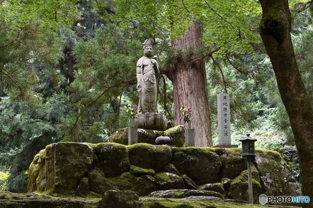 天地観世音菩薩