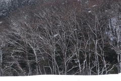 荒れるバレンタイン