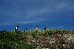 東尋坊0131「晴天なり」