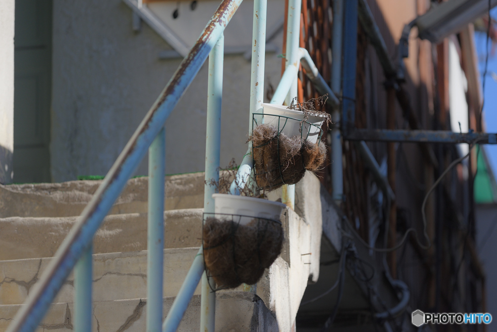 鉢（アンダンテ）