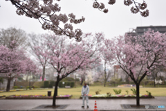 高崎市役所前