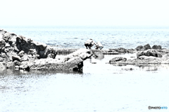 境界線　海辺の母子