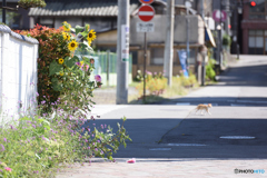 町角寓話