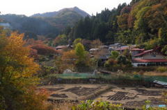 秋の里