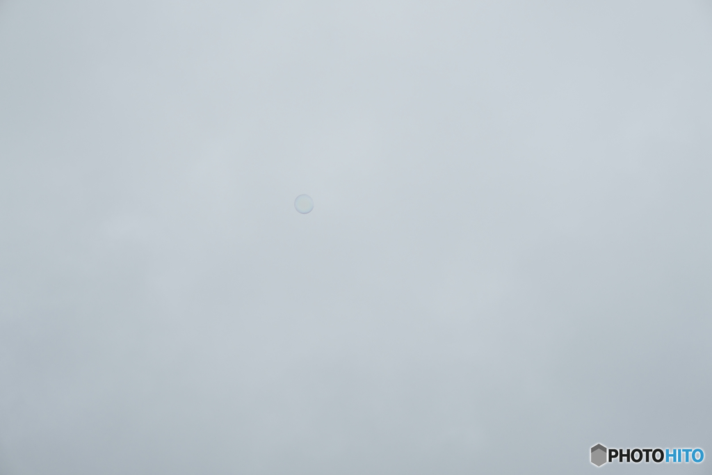 感謝（副題：GRAY）