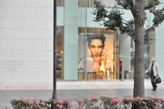 紙の人　丸の内