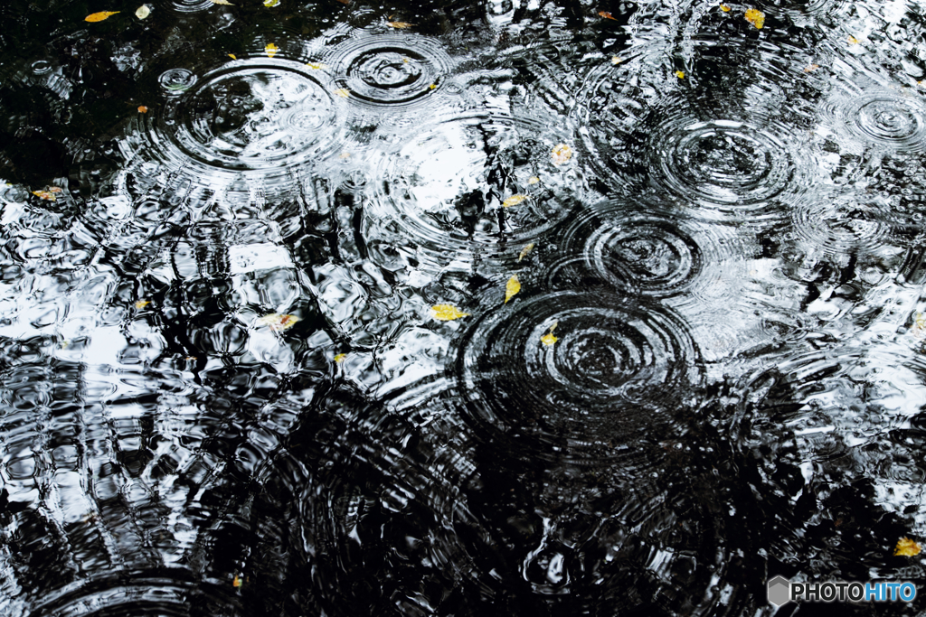 雨の竜神池