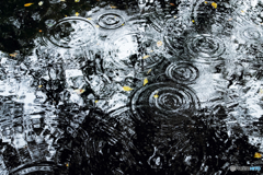 雨の竜神池