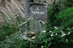 自由と冒険精神