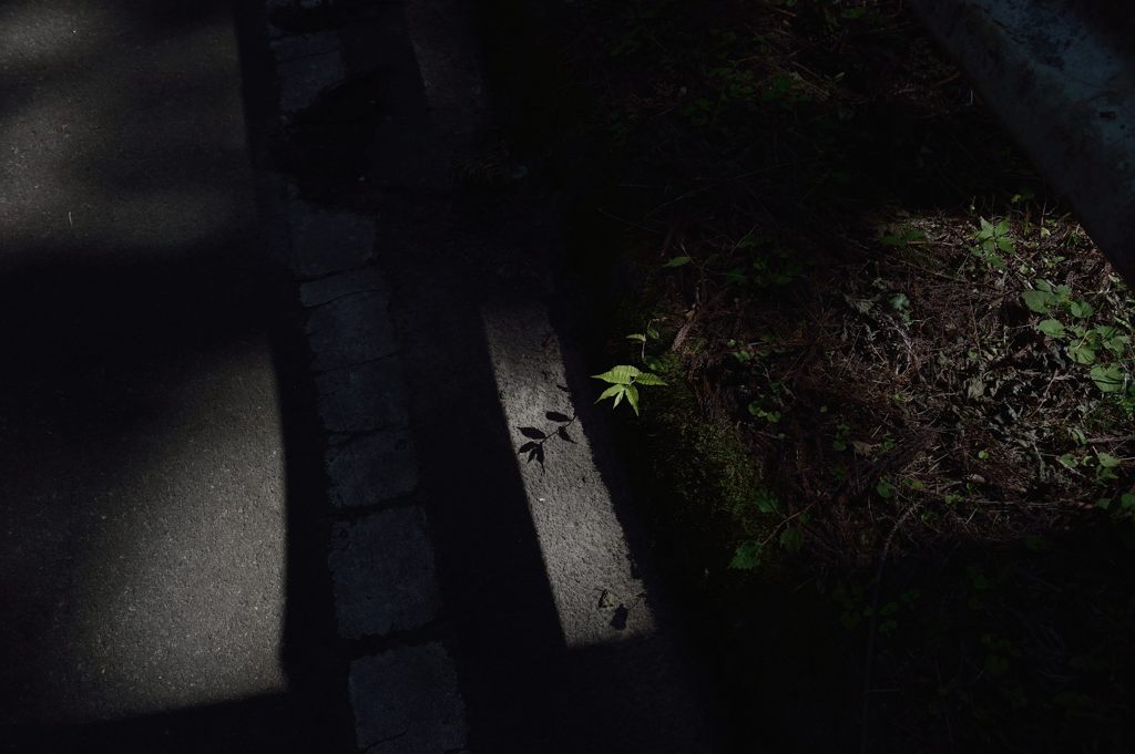 路傍