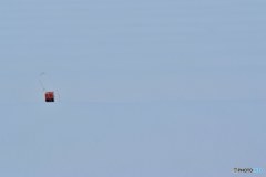 大きさを持つ赤い点