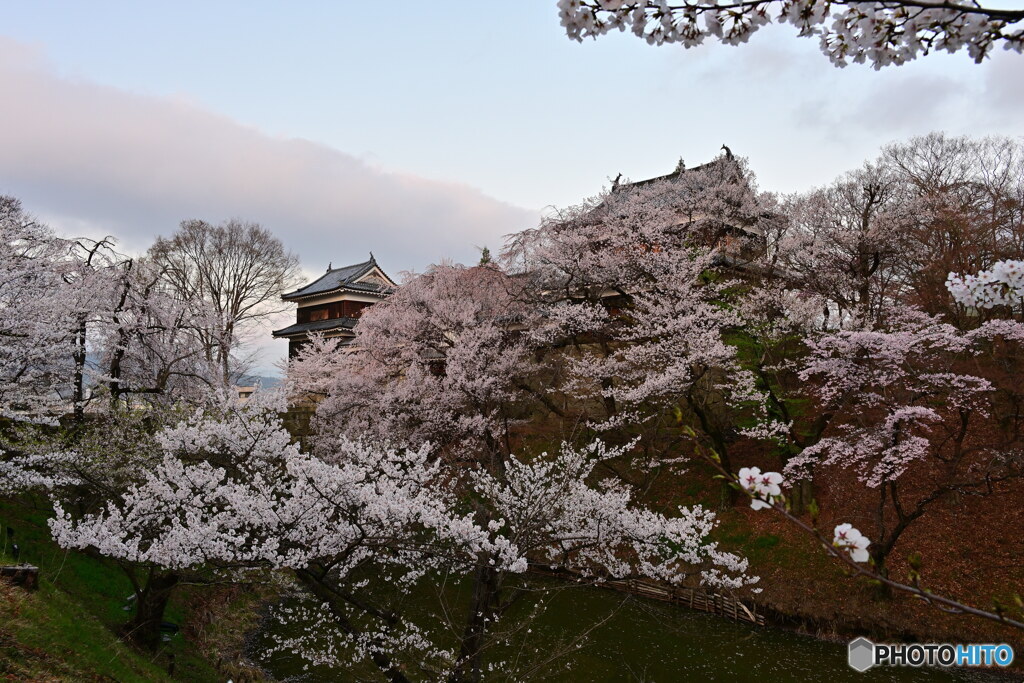 上田城　春
