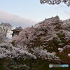 上田城　春