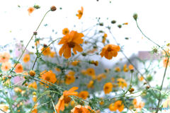 雨の憂鬱