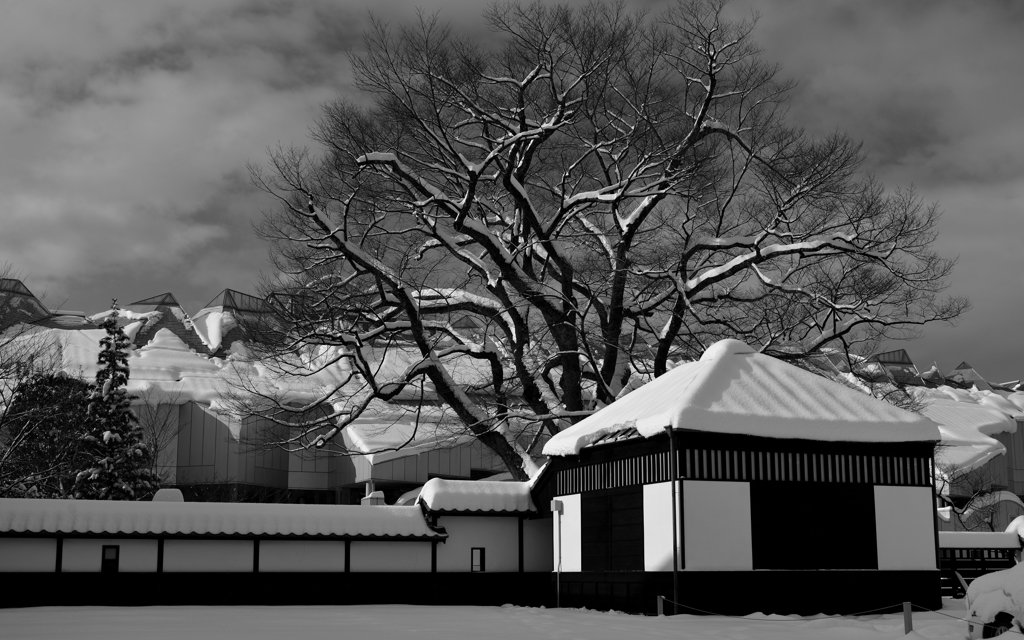 向こうのアヴァンギャルド