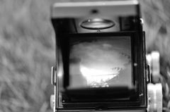 感傷フォーマット