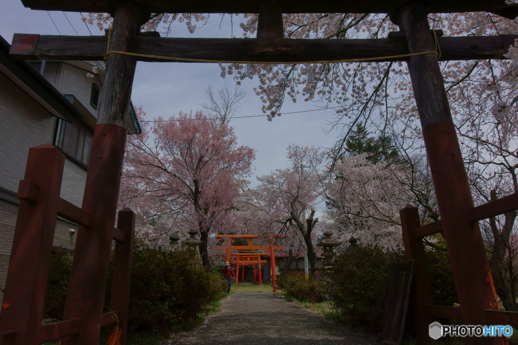 5049　加増神社