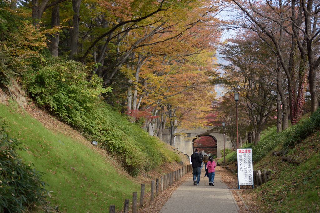 濠の路