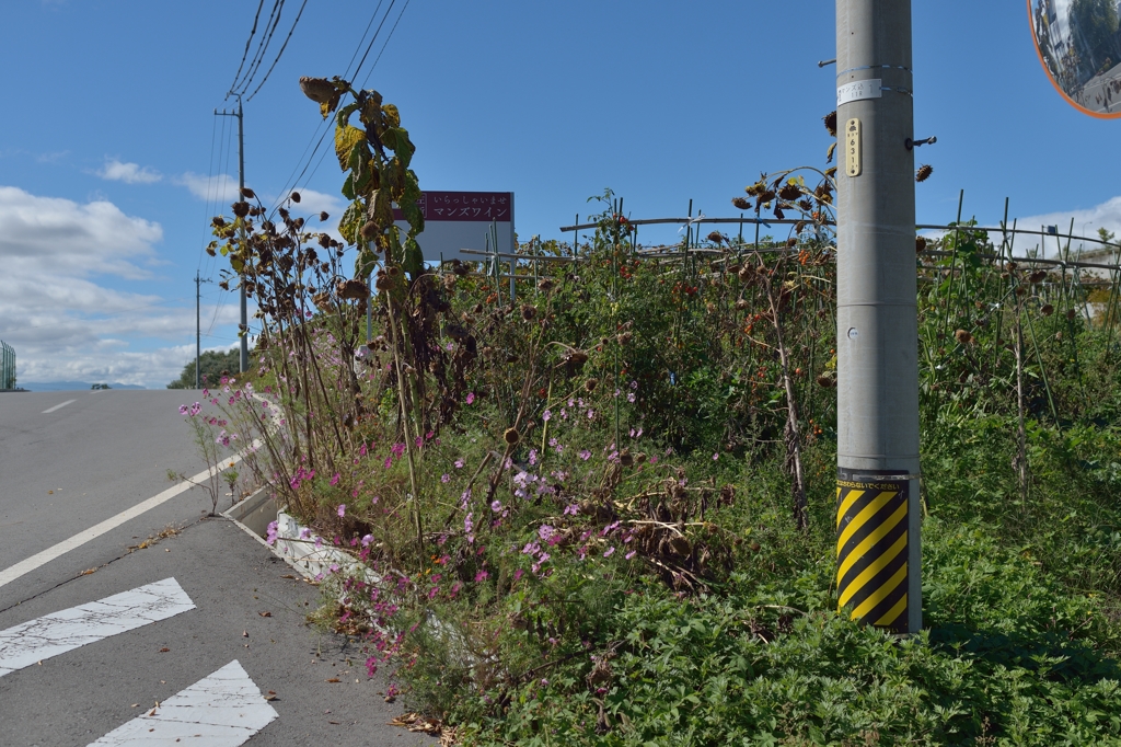 三叉路（ライトタッチ　デッドパン）