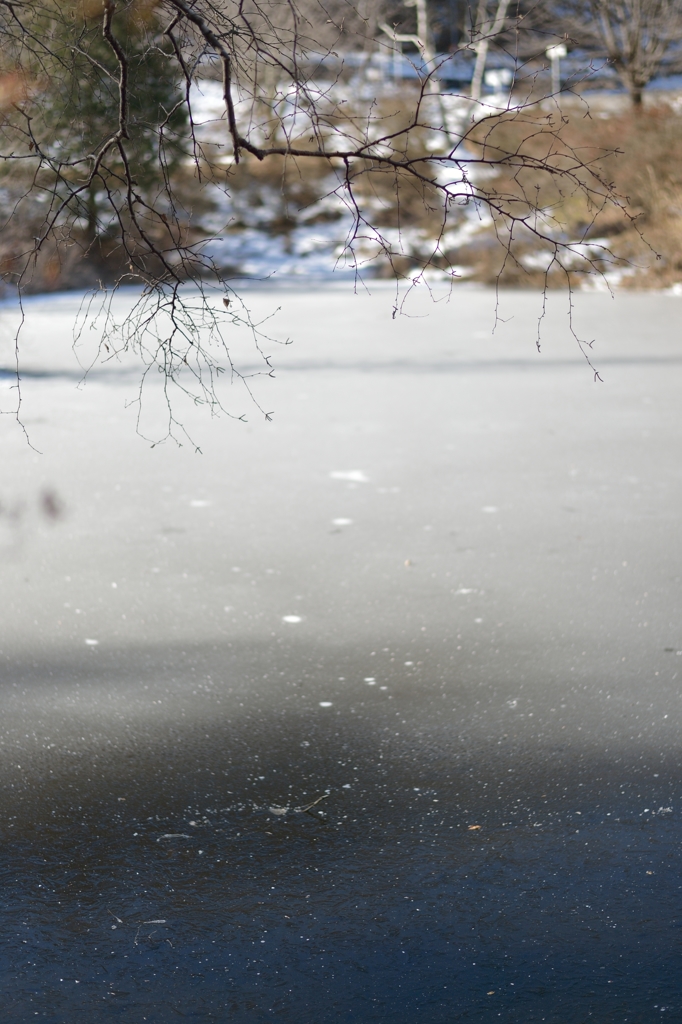 閉ざされる水面