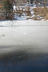 閉ざされる水面
