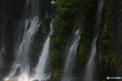 白糸の滝