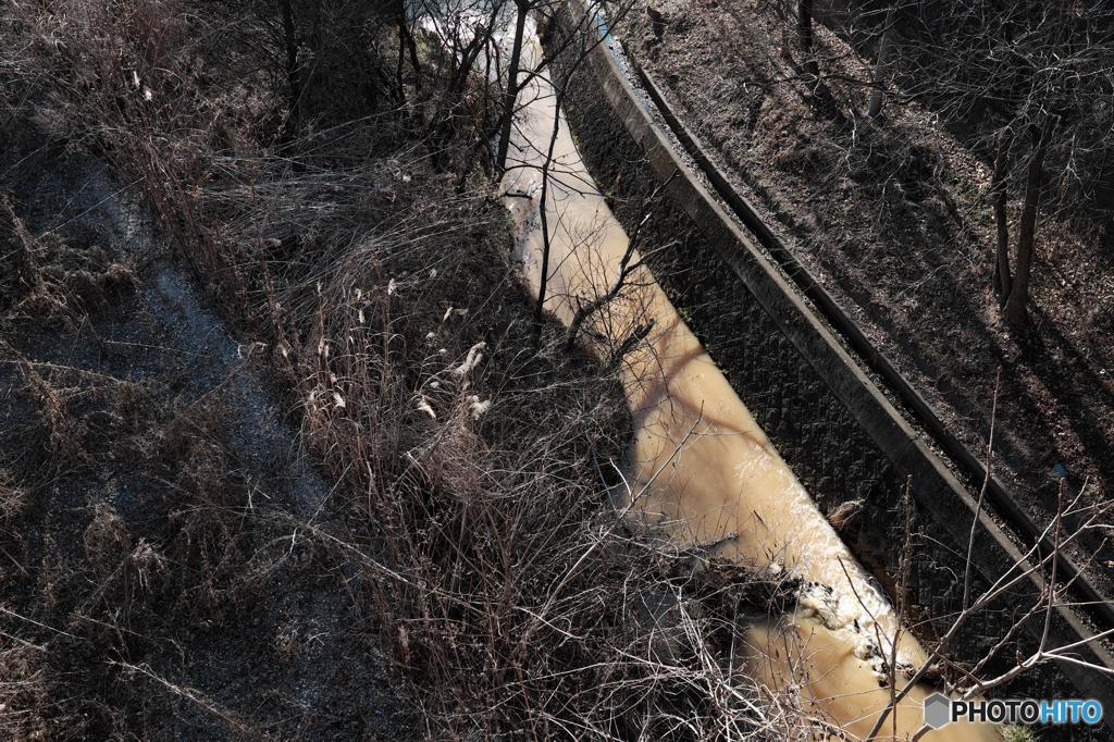 YELLOW　LINE
