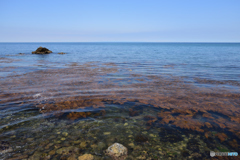 5153　果てとは、たかだか水平線のことである