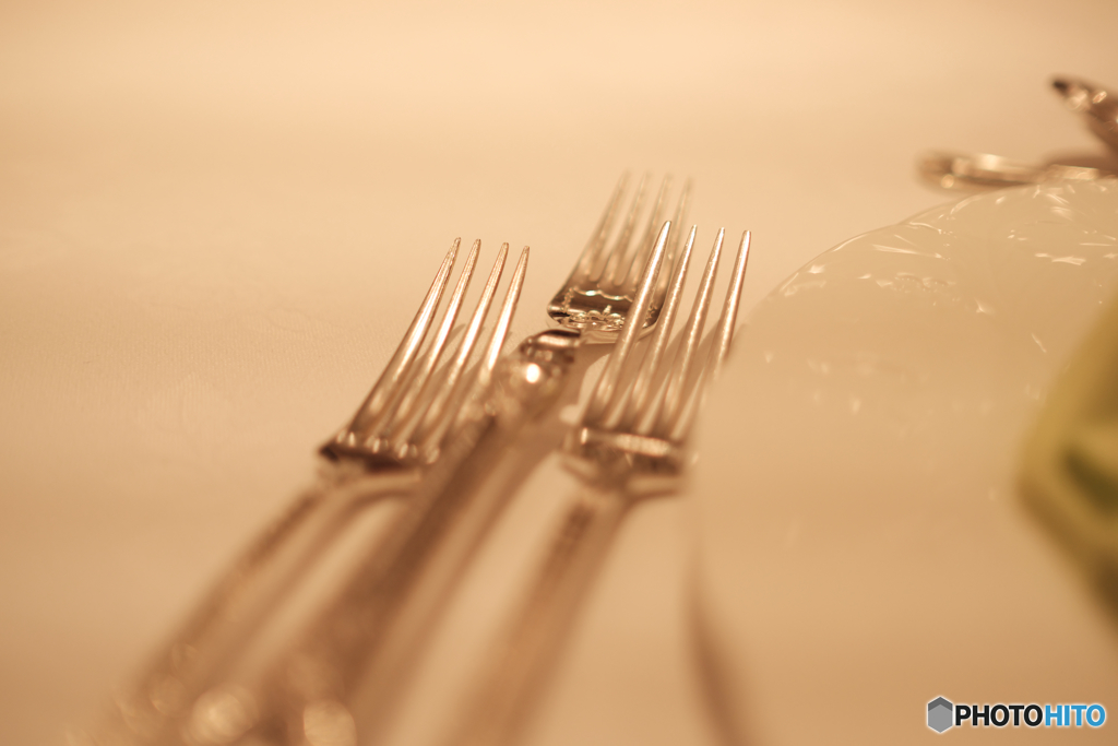5714　Fork