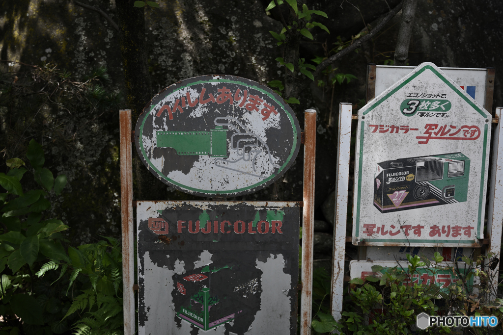 写ルンですか