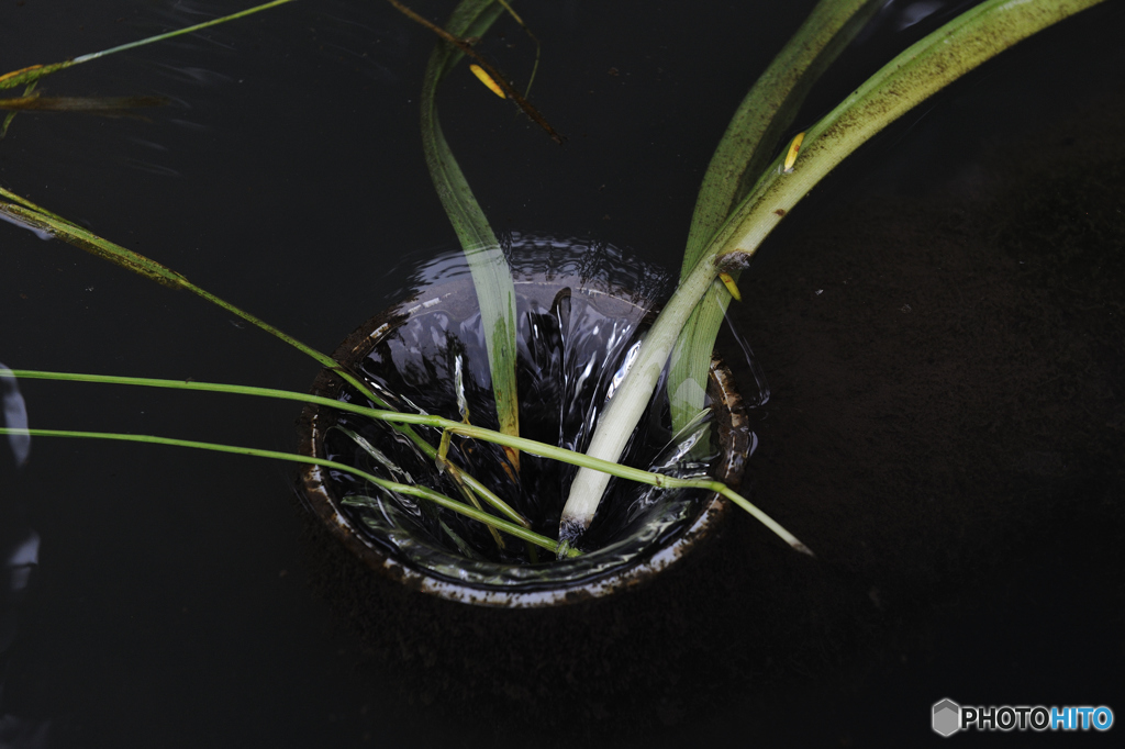 a truth（出口の入口）