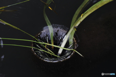 a truth（出口の入口）