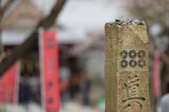 てっぺん