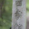 習わなかった漢字