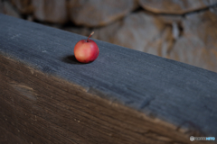 私はリンゴ・・・一応