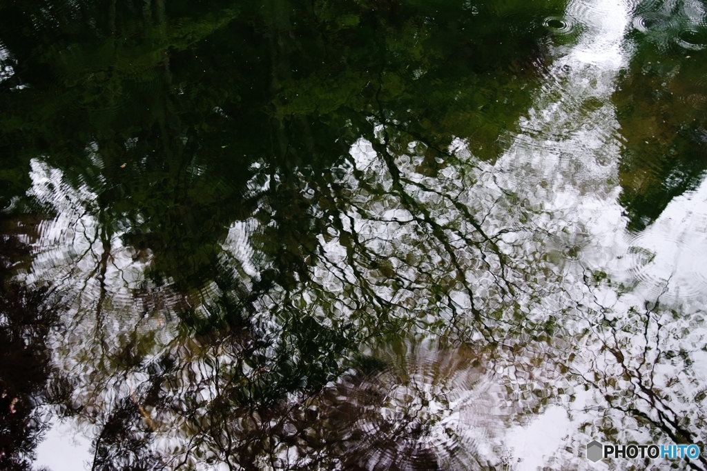 5063　RAIN