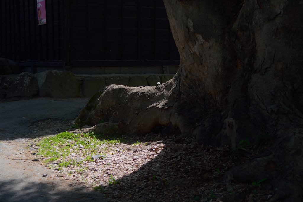 諏訪大社　上社前宮