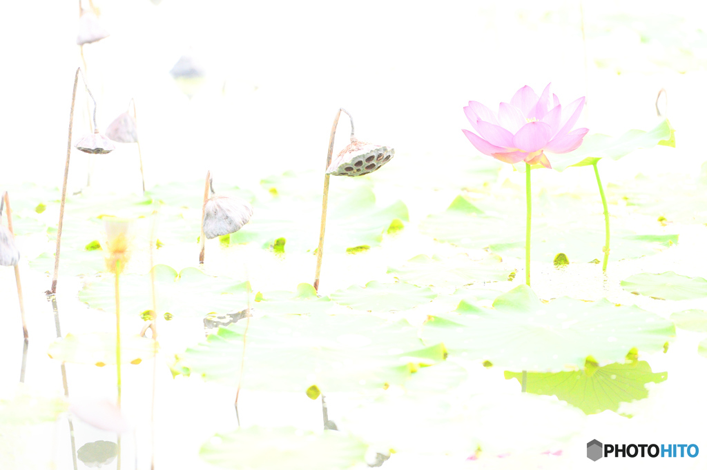 5402　希