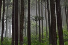 深山狭霧