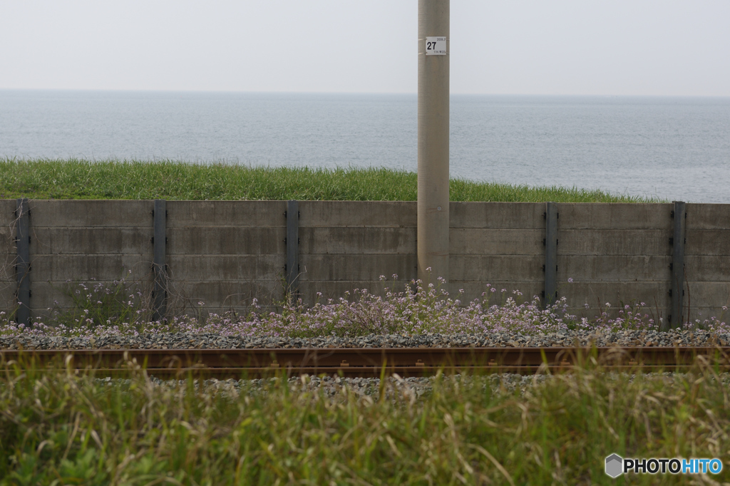 地の果て