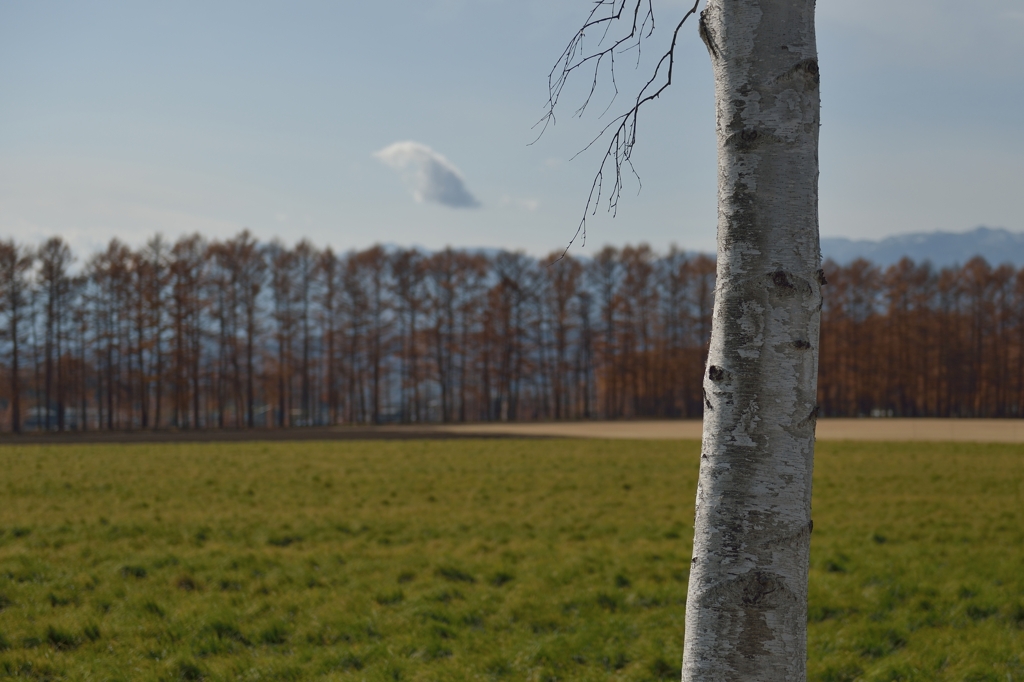 浮浪（はぐれ）