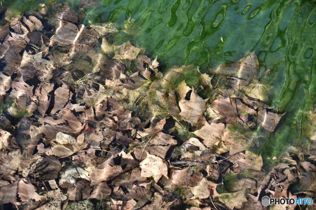 水際