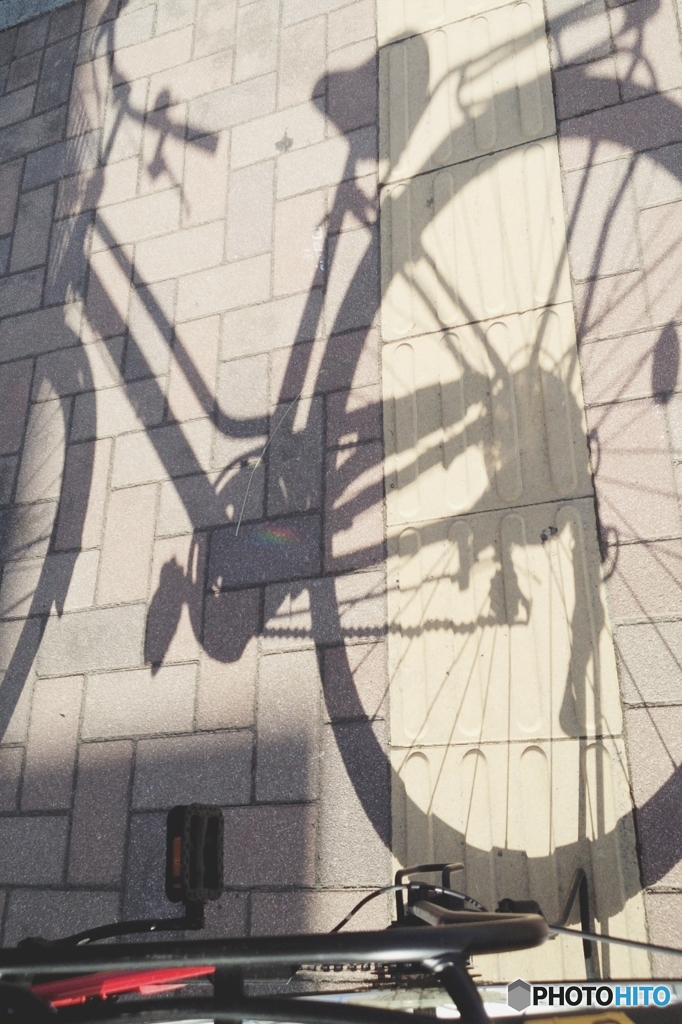 高校生