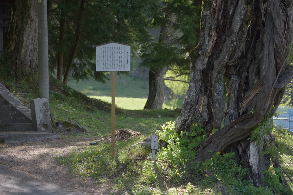 諏訪大社　上社前宮