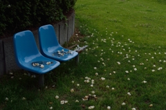 ロマンスシート