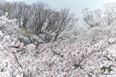 波濤