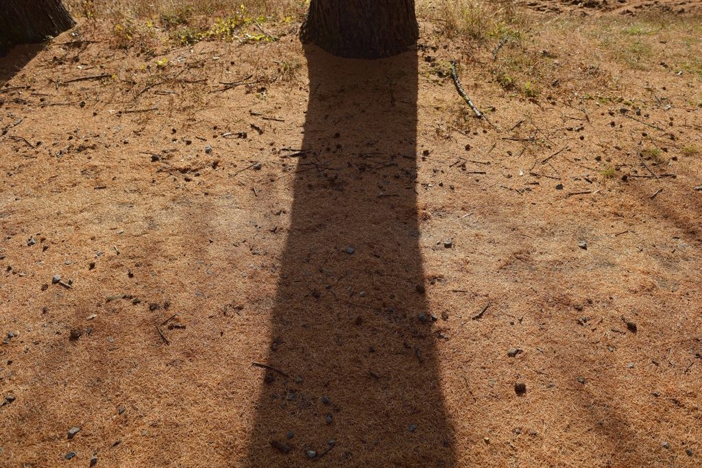 遮ぎられたもの