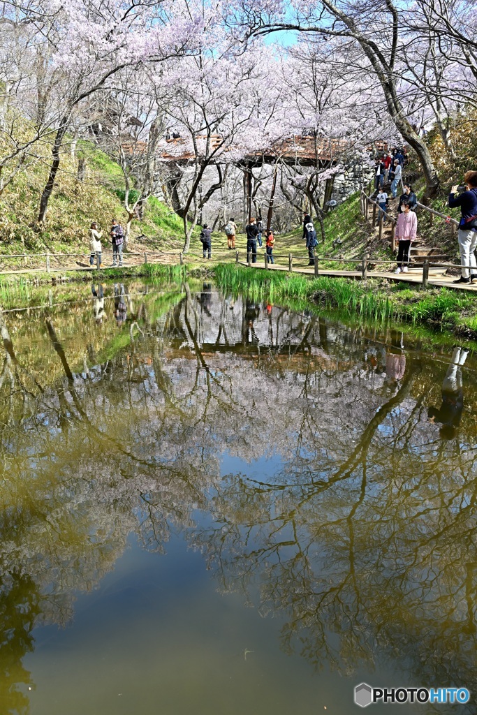 高遠　爛漫