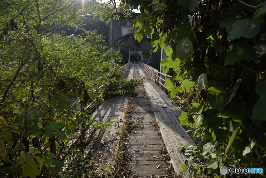 緑魔の橋